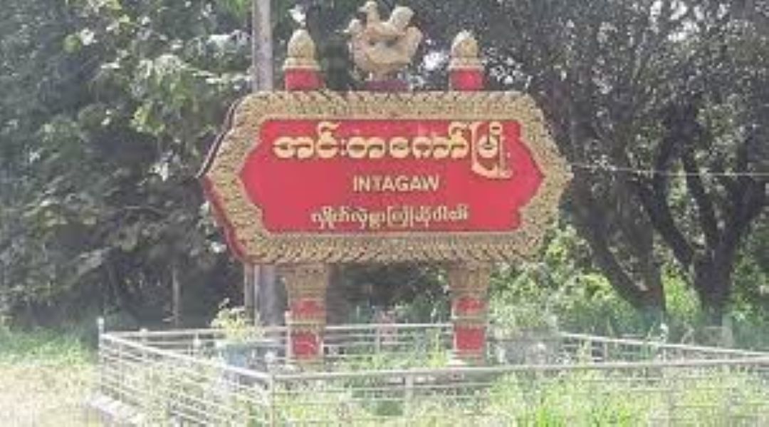 Bago News