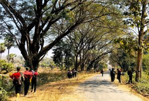 Mandalay News