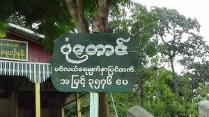 Magway News