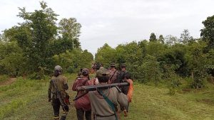 Bago News