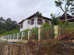 TNLA News