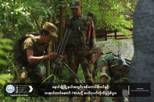 TNLA News