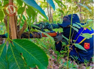 Tanintharyi News