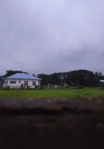 Bago News