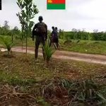 Tanintharyi News