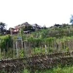 မော်လိုက်မြို့နယ်၊ ထော်သာ ပျူစောထီးခန်းကို တော်လှန်ရေးတပ်ဖွဲ့များက တိုက်ခိုက်သိမ်းပိုက်မှု ပျူစောထီးခေါင်းဆောင် အဲပါ အပါအဝင် စစ်သုံ့ပန်းအများအပြား ဖမ်းမိ