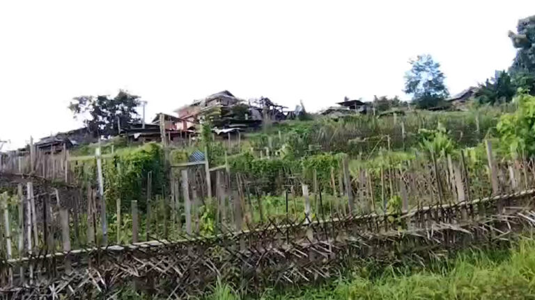မော်လိုက်မြို့နယ်၊ ထော်သာ ပျူစောထီးခန်းကို တော်လှန်ရေးတပ်ဖွဲ့များက တိုက်ခိုက်သိမ်းပိုက်မှု ပျူစောထီးခေါင်းဆောင် အဲပါ အပါအဝင် စစ်သုံ့ပန်းအများအပြား ဖမ်းမိ